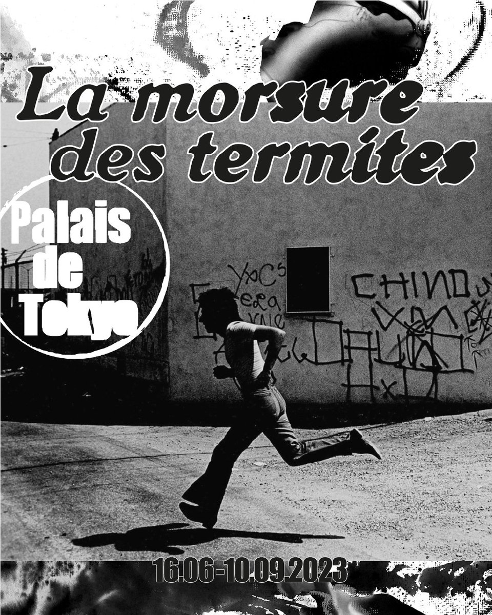 PalaisdeTokyo's tweet photo. Dès le 16 juin, rafraîchissez-vous au Palais de Tokyo entre explorations souterraines et pratiques du « faire ». Découvrez notre parcours d’été et imprégnez-vous des œuvres de cette saison 👁️ https://t.co/Hrum0iBN8a https://t.co/sO6p6owcWg