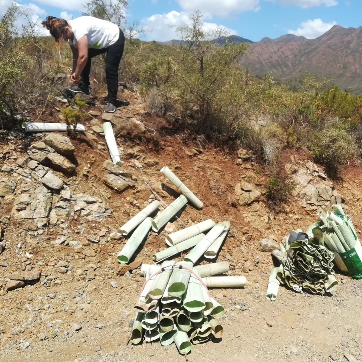 ArbaMálaga tweet media