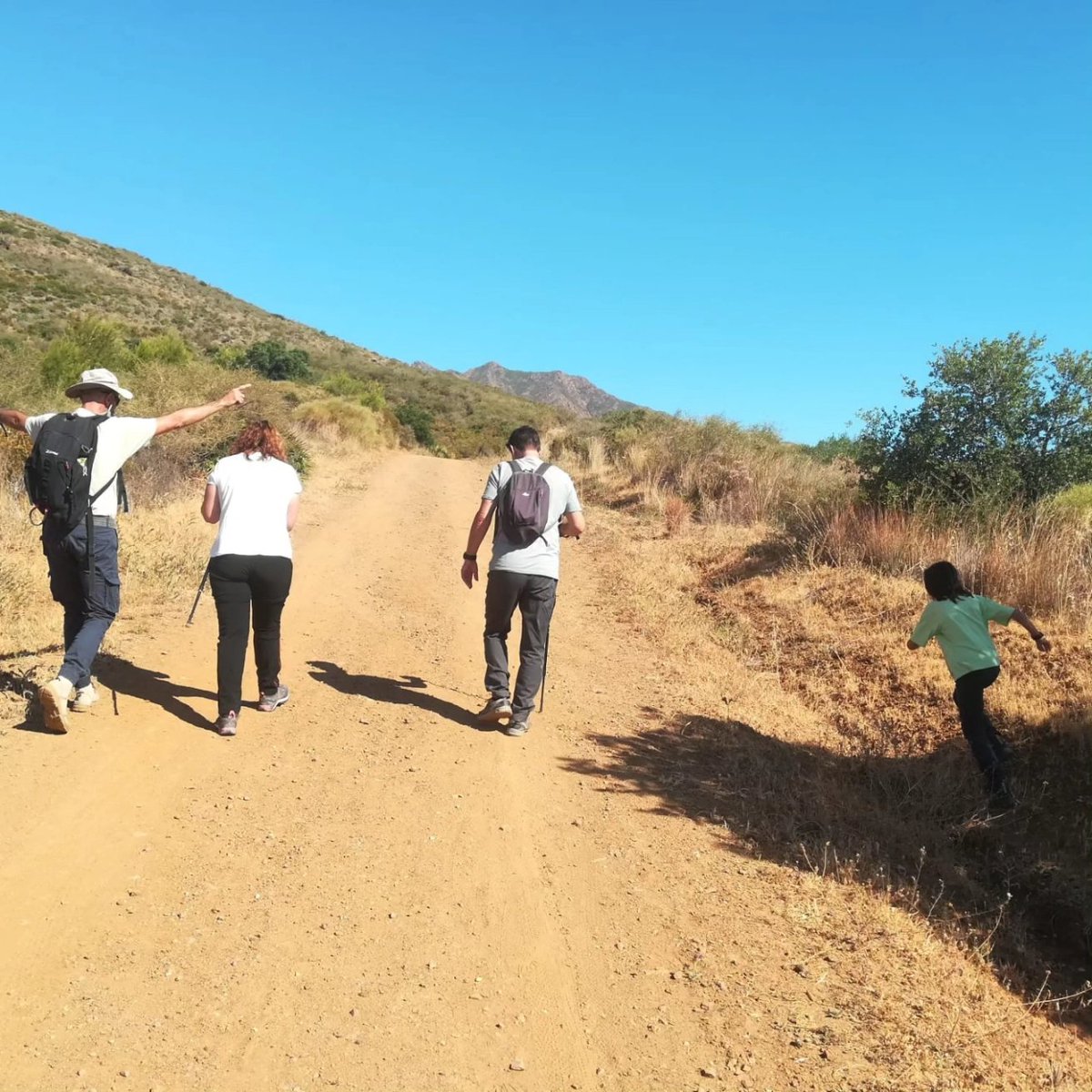 ArbaMálaga tweet media