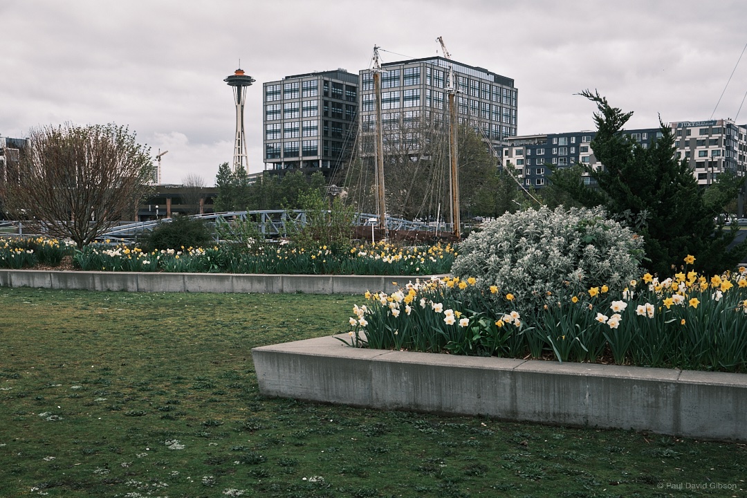 pdgibson's tweet photo. Lake Union Park
Seattle, WA
April 2023

#seattle #SLU #southlakeunion #colorphotography #artofvisuals #urbanphotography #fujifilm #fujixseries #fujixshooters #fujifilmx_seattle #fujixt5 #fujifilmxt5 #xf23mmf14 #fujilove #myfujifilm #myfujifilmlegacy @fujifilmx_us https://t.co/Ma61Ho3SLF