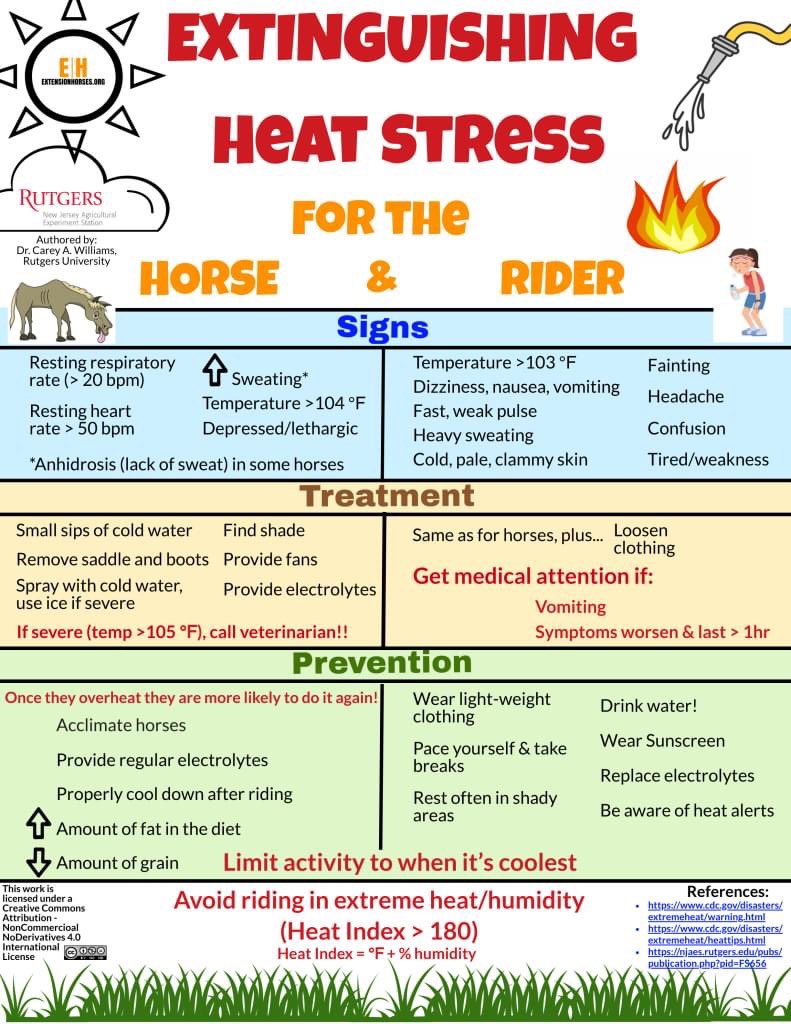As we get further into the hotter months, it’s not only important to know the signs of heat stress in your horse - but for yourself as well.☀️