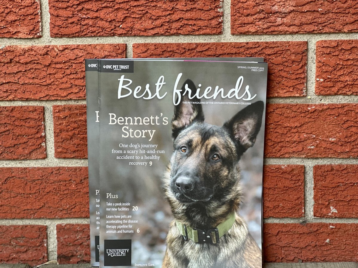 OVC Pet Trust tweet media