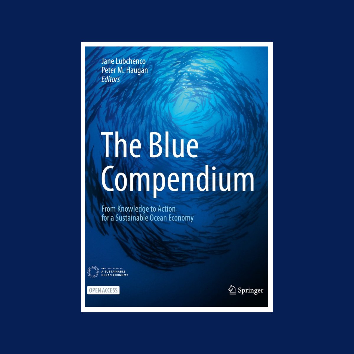In today's sea of information, it's a relief to find a reliable source to hold on to - cue The Blue Compendium.

📖 This thorough collection inclues a wide range of enlightening assessments and reports on innovative #oceansolutions in technology, policy, governance, and #finance.