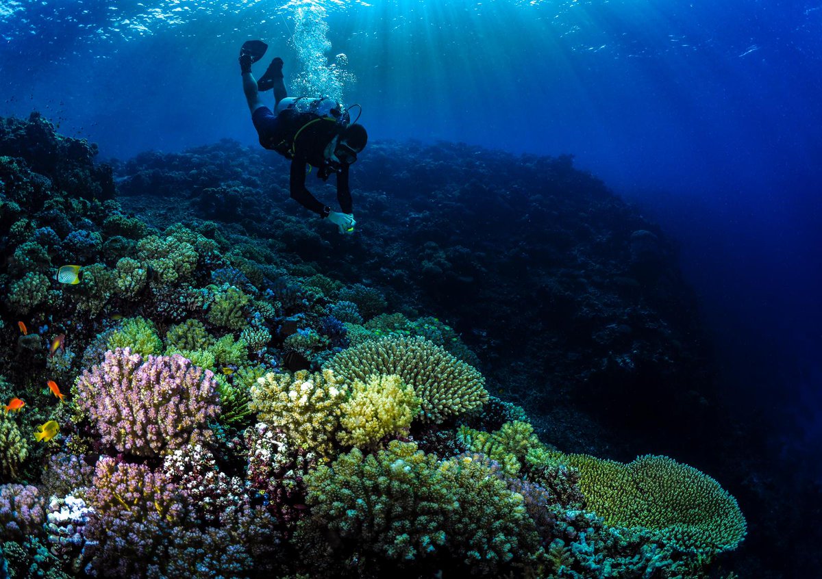 John Majoris (@goby_wan) on Twitter photo I'm excited to share that I'll be starting an Assistant Professor of Marine Biology position at Texas A&M-Corpus Christi this fall. Stay tuned for research updates, opportunities, and all things marine larval ecology and aquaculture! <a href="/IslandCampus/">Texas A&M-Corpus Christi</a> <a href="/AFS_ELHS/">AFS_ELHS</a> 📸 credit <a href="/morganbs7/">Morgan Bennett-Smith</a> I'm excited to share that I'll be starting an Assistant Professor of Marine Biology position at Texas A&M-Corpus Christi this fall. Stay tuned for research updates, opportunities, and all things marine larval ecology and aquaculture! <a href="/IslandCampus/">Texas A&M-Corpus Christi</a> <a href="/AFS_ELHS/">AFS_ELHS</a> 📸 credit <a href="/morganbs7/">Morgan Bennett-Smith</a>