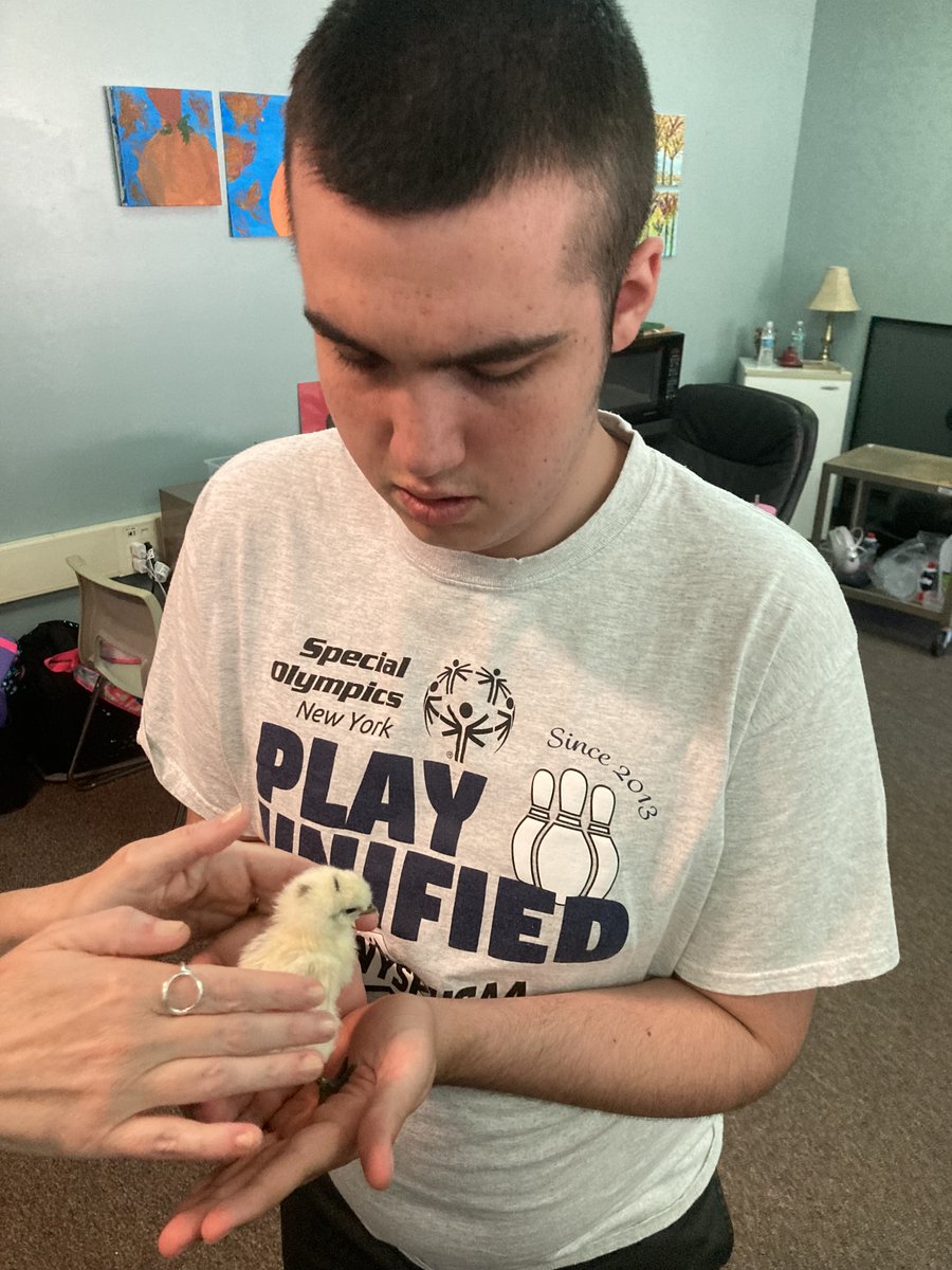 LSCLifeSkills's tweet photo. We got to see the baby chicks today! 

@LakeShoreCSD @Lake_Shore_HS https://t.co/hnCKwmhH4X