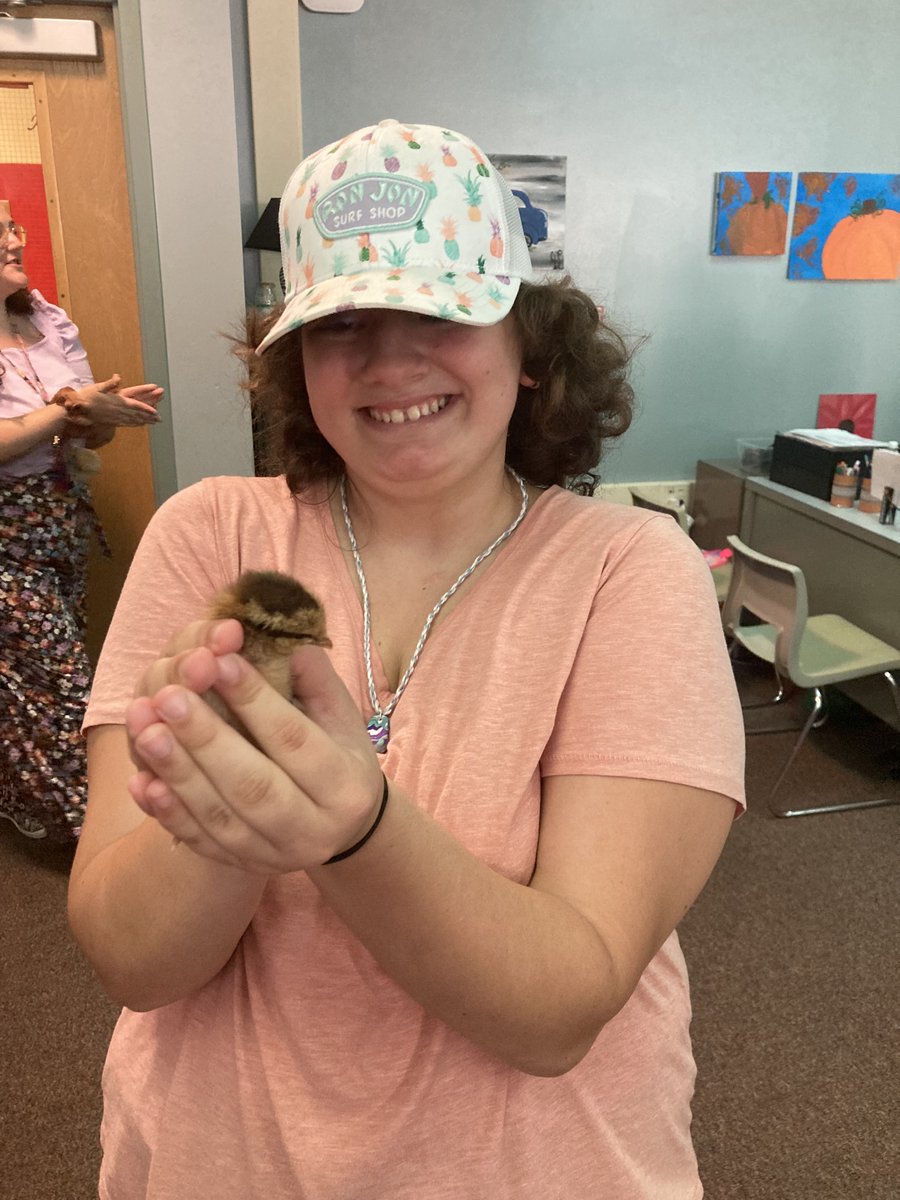 LSCLifeSkills's tweet photo. We got to see the baby chicks today! 

@LakeShoreCSD @Lake_Shore_HS https://t.co/hnCKwmhH4X