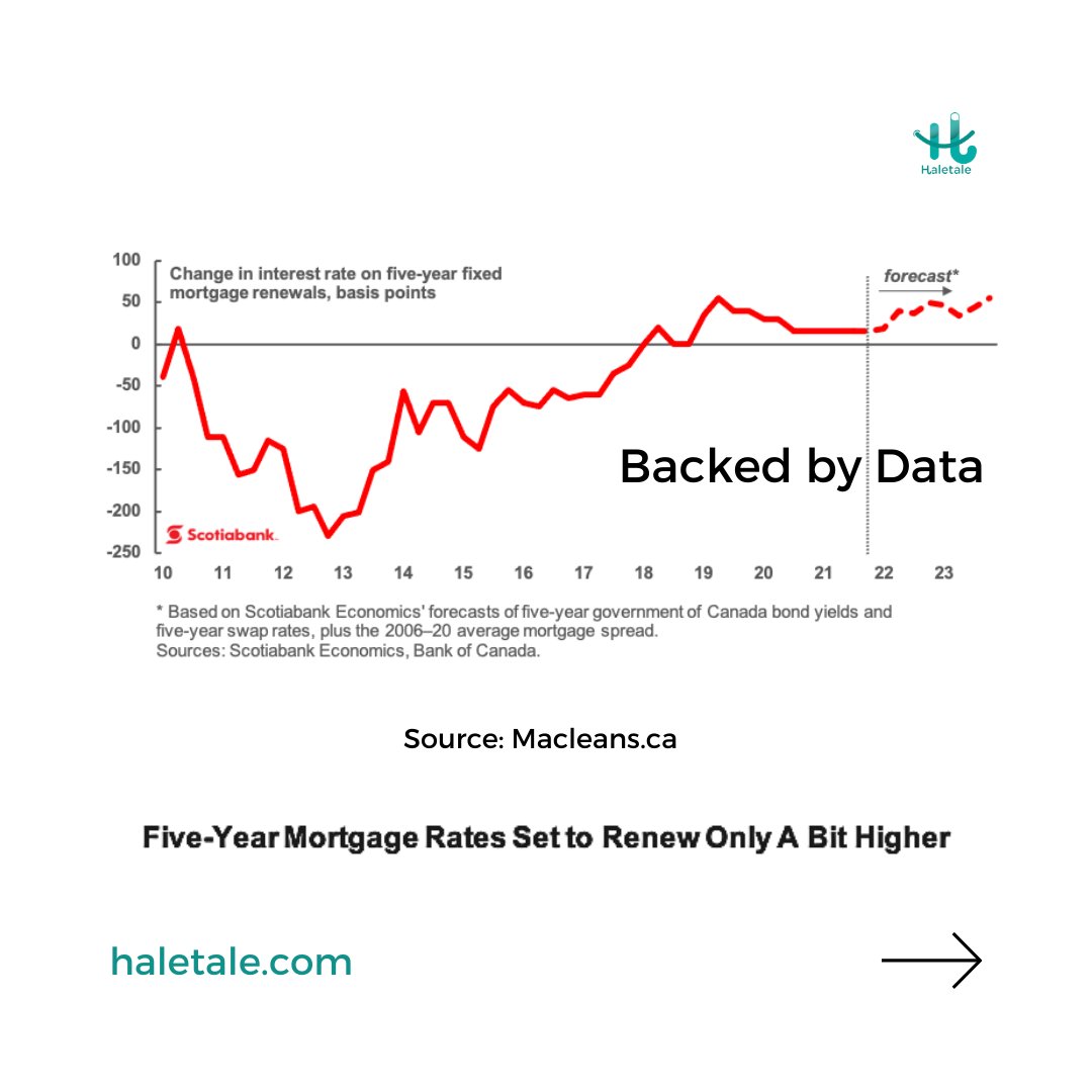 Haletale_Inc's tweet photo. #haletale #canada #toronto #ontario #coliving #newcomers #internationalstudents #immigrants https://t.co/hUguDIuHGw