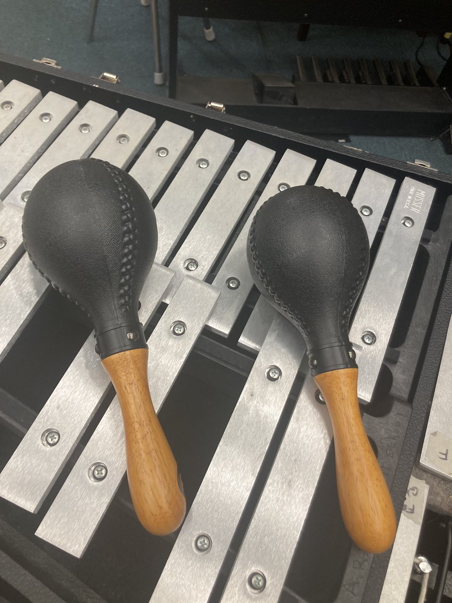 Why do these maracas look like some shit id find in a sex dungeon