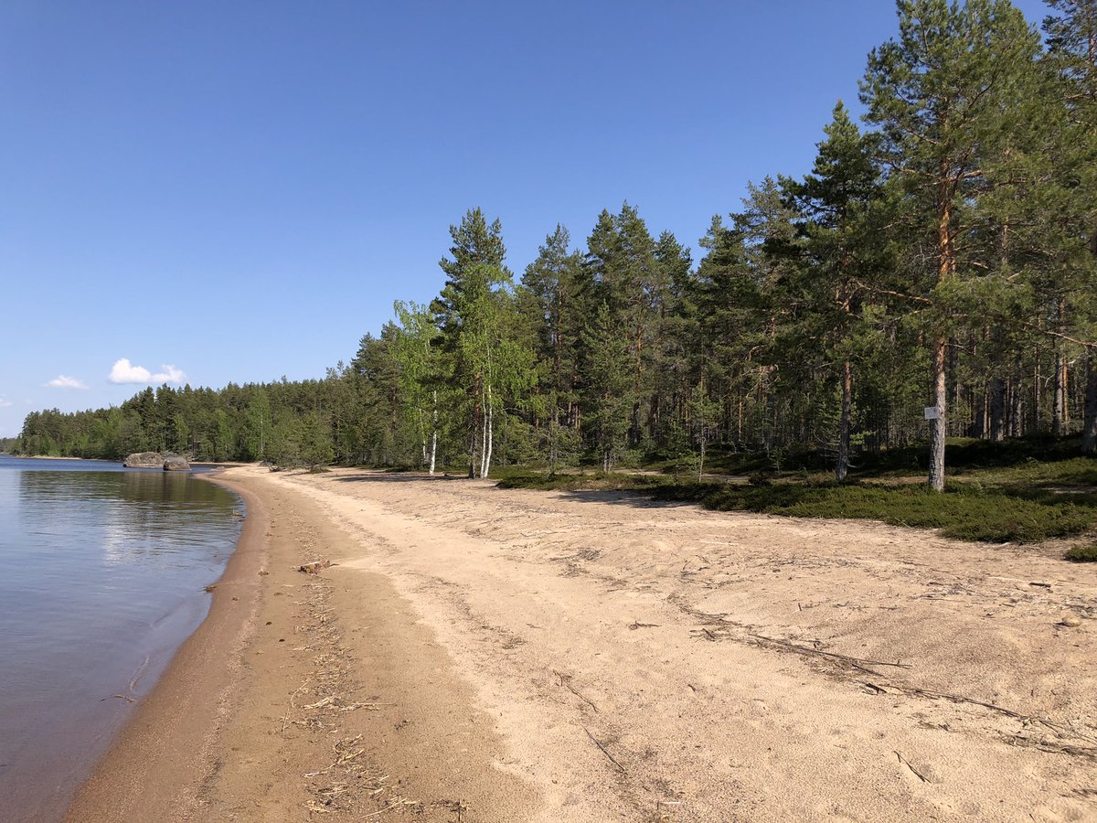 Matti Liimatainen tweet media