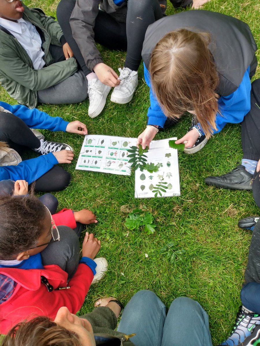 The Green Team (@GreenTeamEdin) on Twitter photo 2023-05-31 15:16:55 P6 @saintdavidsrcps litter picking in their local park , also learning about different trees species #johnmuiraward @JohnMuirTrust @EdinburghLfS @EdOutdoorLearn @KSBScotland #outdoorlearning #outdoors #nature #Littering #getoutside #GetOutInNature #getoutdoors #wildlife P6 @saintdavidsrcps litter picking in their local park , also learning about different trees species #johnmuiraward @JohnMuirTrust @EdinburghLfS @EdOutdoorLearn @KSBScotland #outdoorlearning #outdoors #nature #Littering #getoutside #GetOutInNature #getoutdoors #wildlife