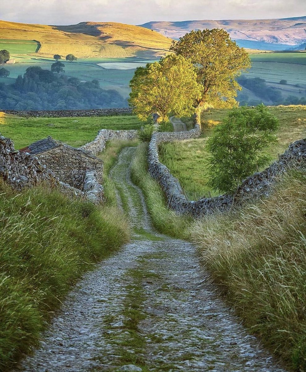 Magical beauty Yorkshire 🫶🏼