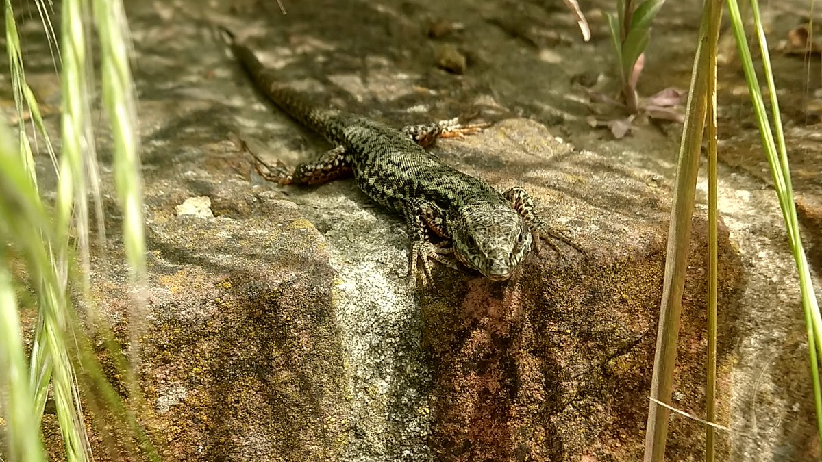 Parody of @jtmuehlberg@mastodon.online tweet media