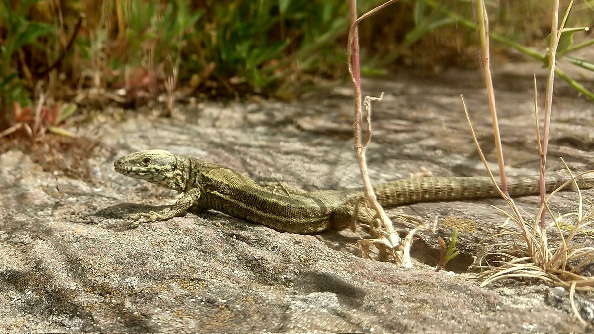 Parody of @jtmuehlberg@mastodon.online tweet media