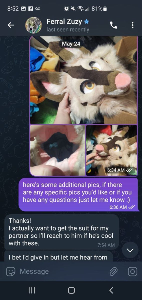 I hate having to do this, but if you have fursuits for sale and the user @/batexpup on telegram pm's you asking for additional pics do NOT send them pics! They faked interest in my brown fox premade to get more pics to post a scam listing on Poshmark using my pics! more below