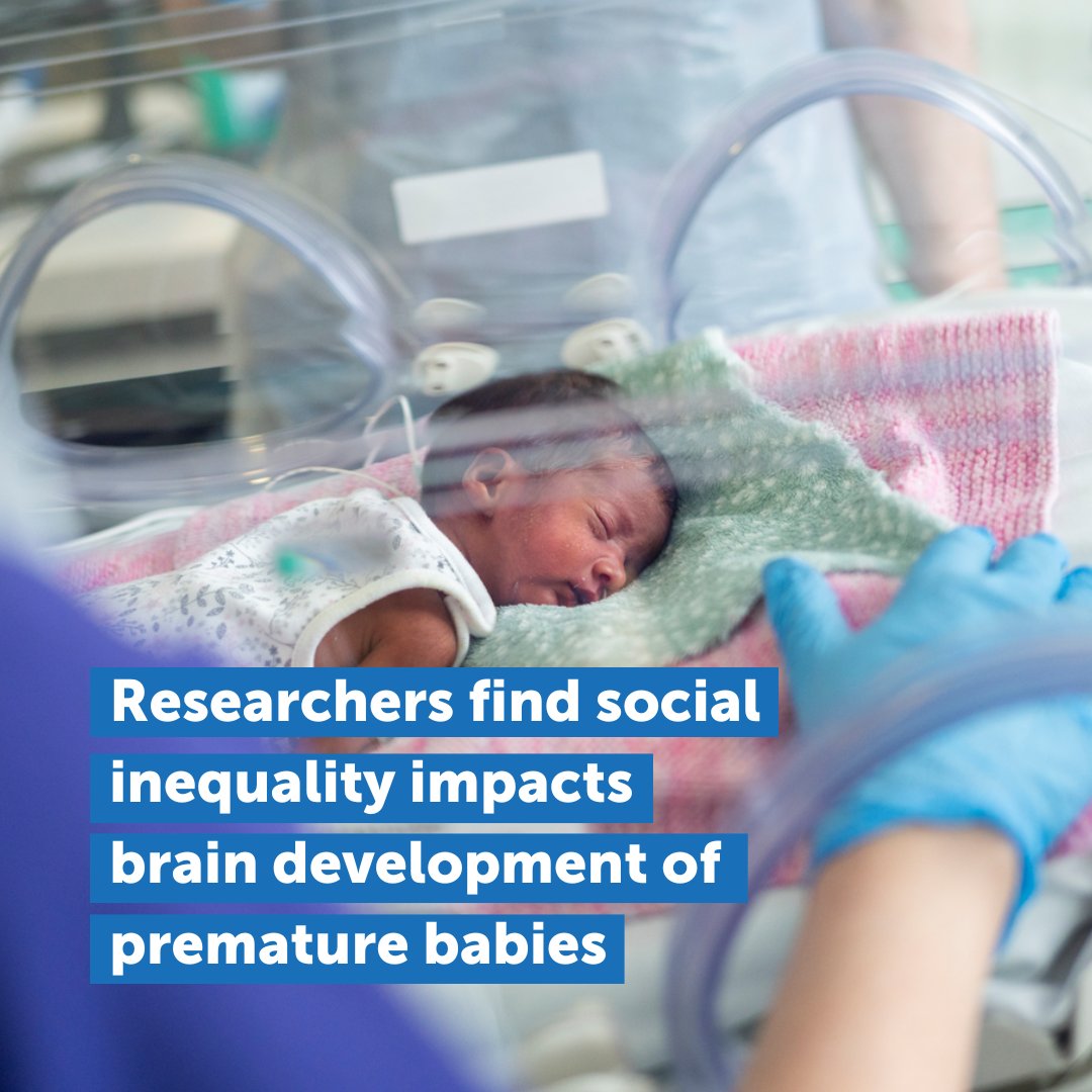 Theirworld's flagship project, Jennifer Brown Research Laboratory, has unveiled more leading research into the impact of #PrematureBirth, this time showing that social inequalities can impact the brain development in premature babies. Read more here: bit.ly/42glj3i