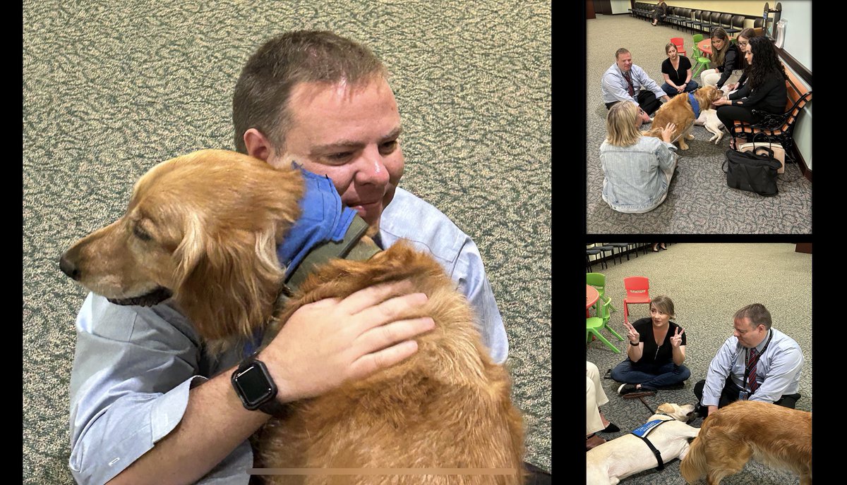 Judge Michael Baggé-Hernández (@judgebagge) on Twitter photo Incredible day at the office! Our interns met working dogs who assist vulnerable witnesses in court. 🐾 Witnessing their bond with their handlers was heartwarming. So lucky to be <a href="/13thCourtFL/">13th Circuit Court</a> !
#HCBA #somos13fuerte #WeAre13Strong #thefloridabar #tompabagge Incredible day at the office! Our interns met working dogs who assist vulnerable witnesses in court. 🐾 Witnessing their bond with their handlers was heartwarming. So lucky to be <a href="/13thCourtFL/">13th Circuit Court</a> !
#HCBA #somos13fuerte #WeAre13Strong #thefloridabar #tompabagge
