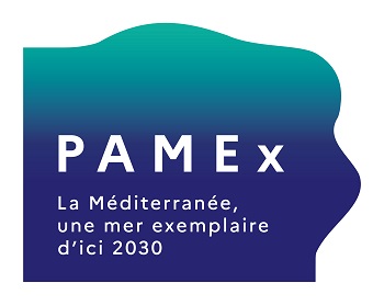 Read the freshly adopted #PAMEx Coalition's position calling for the Mediterranean experience in tackling plastic pollution to be considered in the #PlasticsTreaty negotiations: 

EN: tinyurl.com/suwzm9m2 

FR: tinyurl.com/yck7fj2y

More about PAMEx: bit.ly/Pamex-SC-1