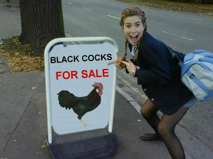 JesusChryslerII's tweet photo. Charlotte “Never Go Back” Fitzgerald, was devastated when she found out it was actual chickens… #OnceYouGo 🤣🤣🍆 https://t.co/y3g2RfVtO2