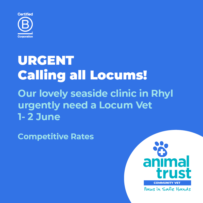 Animal Trust Vets tweet media