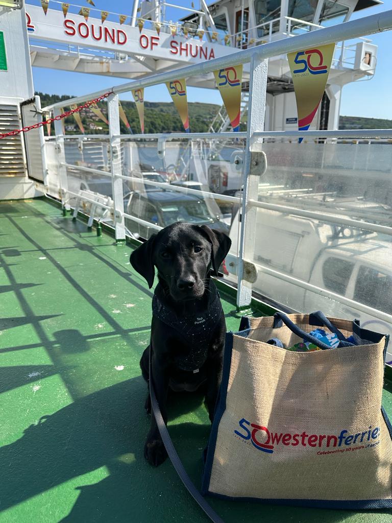 kelly munro tweet media