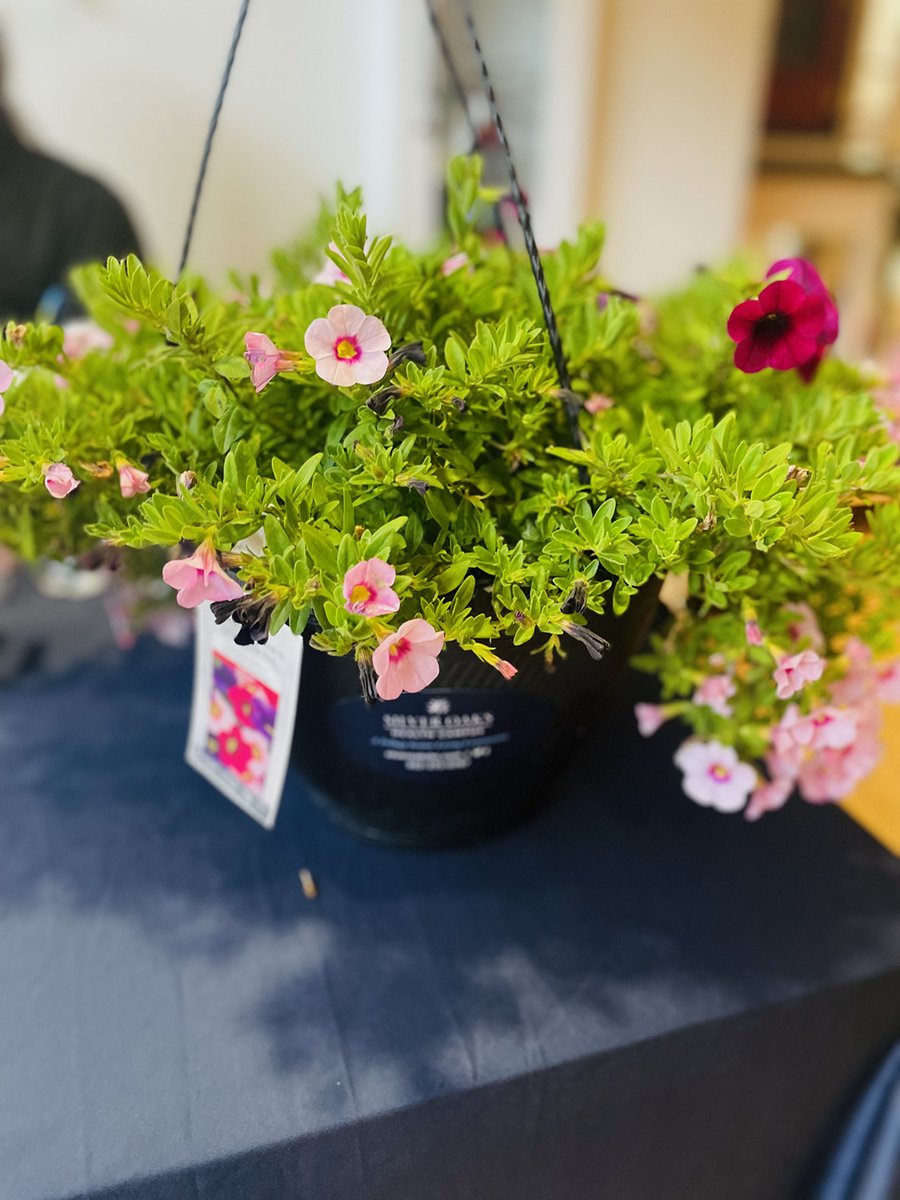 Come see us at Mill Race Senior Center today for Senior Health &amp; Fitness Day! 🌺🌷