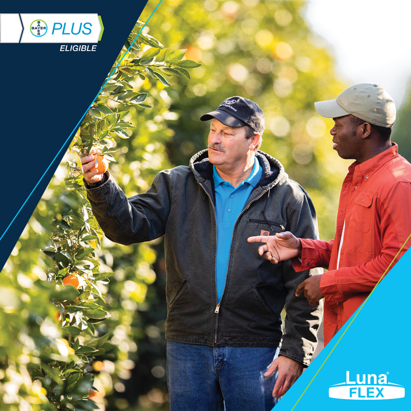 BayerCropProUS's tweet photo. Do more for your fields with #LunaFlex fungicide and more for your operation with #BayerPLUS.
Calculate what you could earn at https://t.co/UhaktH41Sf https://t.co/0YsWYz95yT