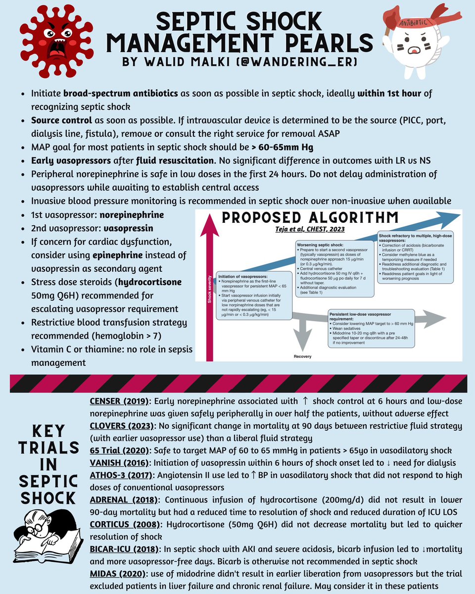 Visual Wednesdays: Septic Shock Management via <a href="/wandering_er/">🍉𝗪𝗮𝗻𝗱𝗲𝗿𝗶𝗻𝗴_𝗘𝗥🍉</a> 

▶️ tinyurl.com/5cfybz6b

#FOAMed #FOAMcc #EMbound #MedTwitter #VisualWednesday
