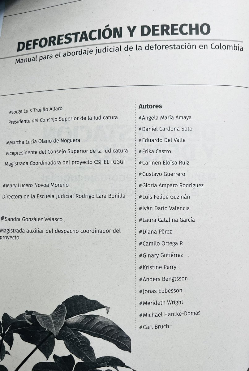 DanielCardonaS's tweet photo. Muy contento de aportar, desde la perspectiva penal, en la creación de este manual para el abordaje judicial de la deforestación en Colombia. Un agradecimiento especial a @ELIORG @GGGI_LAC @GGGICol @judicaturacsj y a la @Ejrlbnet https://t.co/BIclEpF4d3