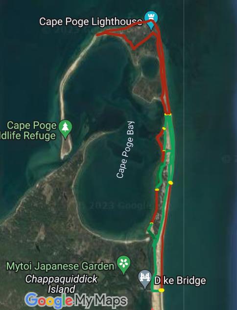 TheTrusteesMV's tweet image. #beachupdatesMV due to environmental conditions, small changes to Cape Poge OSV bayside access. Leland Beach remains the same.