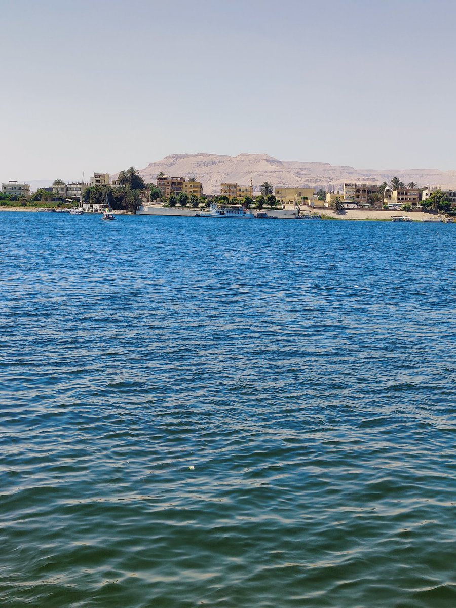 DyaaElsayed24 tweet picture