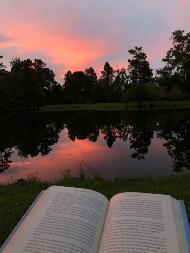 AcademiaDreams's tweet photo. sunset with a good book 🌇 https://t.co/bhmYAPUie3
