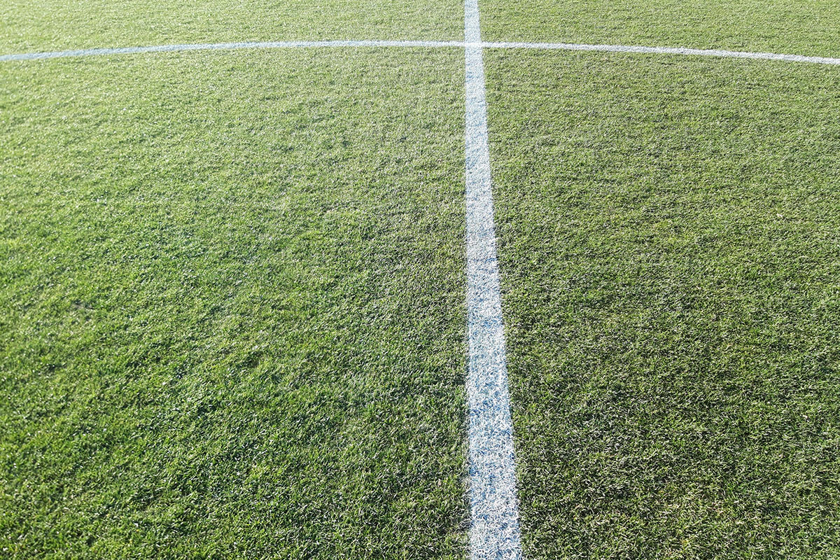 SemillasFitoTG's tweet image. 🌱 Nuestras variedades de poa pratense de clima templado (C3) son muy tolerantes al pisoteo, perfectas para utilizar en mezclas, en condiciones de sequía y salinidad 💧 

👉 Descubre mucho más sobre #Jumpstart, #Nuglade, #Prafin y #Right
semillasfito.es/productos/%C3%…