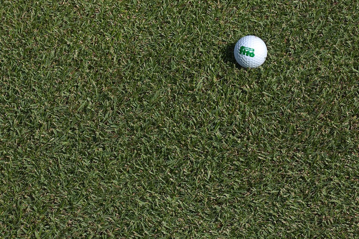 SemillasFitoTG's tweet image. 🌱 Nuestras variedades de poa pratense de clima templado (C3) son muy tolerantes al pisoteo, perfectas para utilizar en mezclas, en condiciones de sequía y salinidad 💧 

👉 Descubre mucho más sobre #Jumpstart, #Nuglade, #Prafin y #Right
semillasfito.es/productos/%C3%…