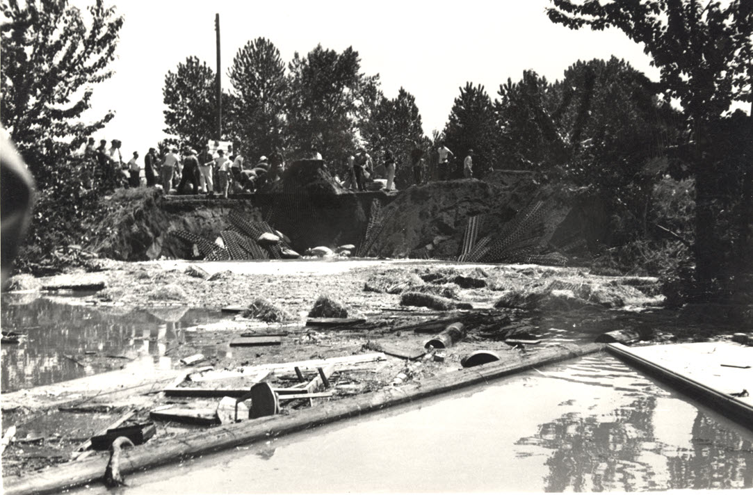 MultCoArchives tweet media