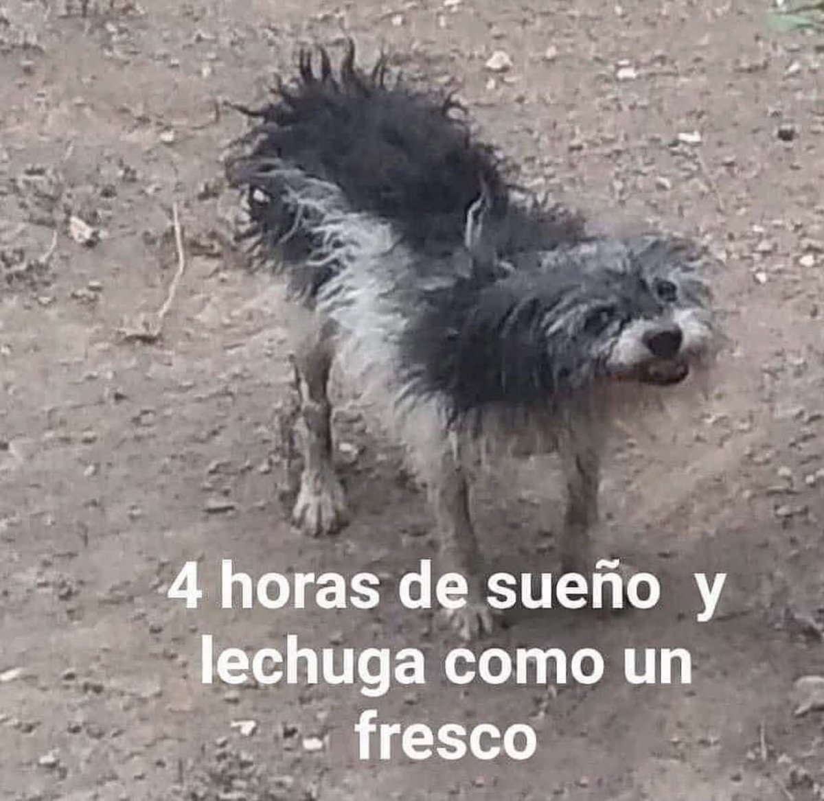 chnbroke's tweet photo. apenas es miércoles y mi semana ha sido: https://t.co/WeKE0xIQXE