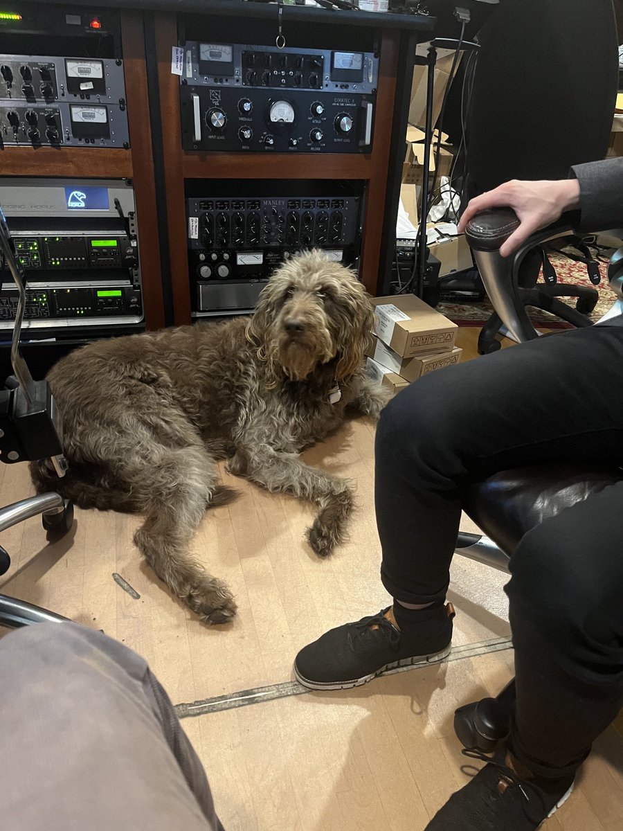 jeremydenk tweet media