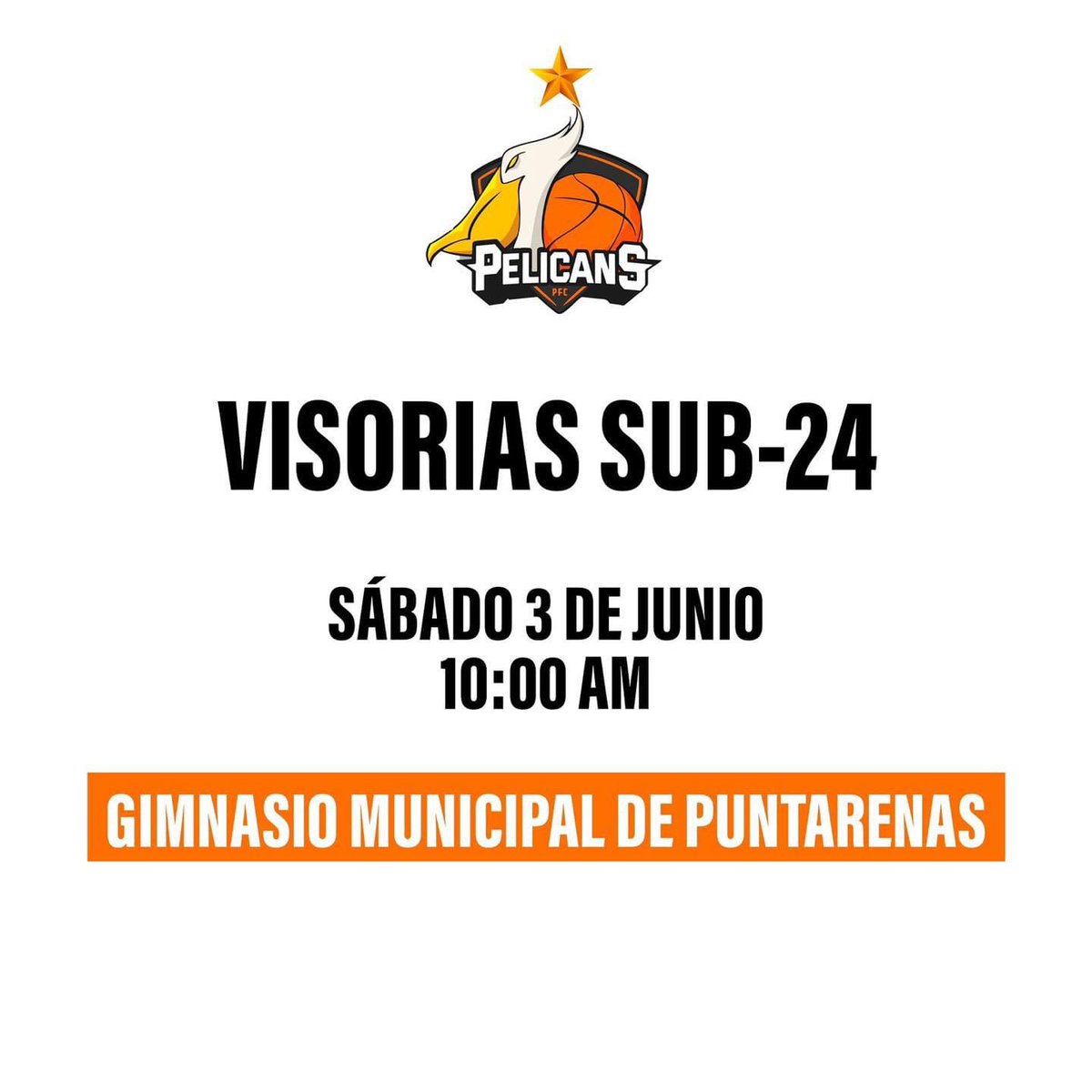 Visoría para torneo Sub-24. 🧡

A cargo de nuestro Coach Rodolfo Fonseca,  para participar deben tener como mínimo BBC 16 años, llevar ropa adecuada para la práctica del deporte e hidratación.
