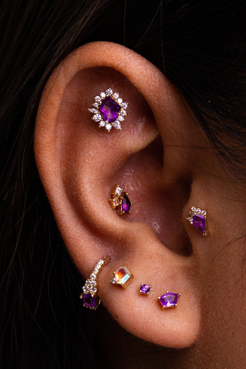 Amethyst adorned✨
#legitbodyjewelry #piercinggoals #earcuration #earpiercing #earpiercings
