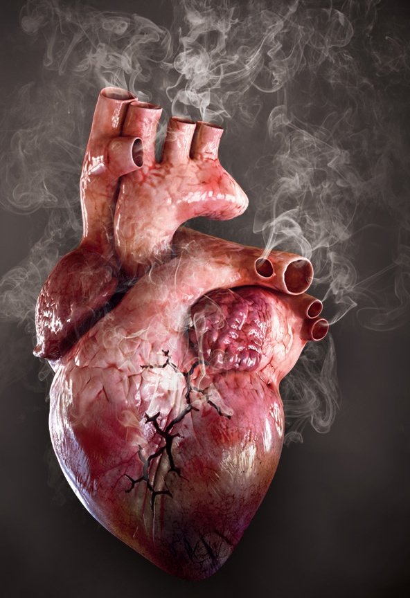 Une femme peut vous briser le cœur et ça dure max 3 mois.
Le tabac te brise le cœur jusqu'à la fin de ta vie. 🚭
#journeemondialesanstabac
#tobaccoday #tabac