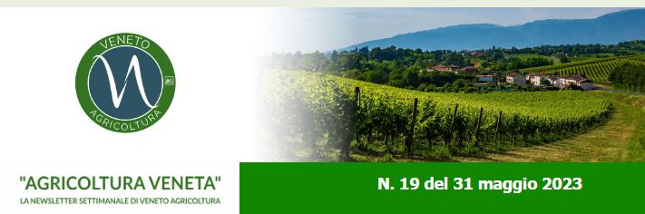 FRESCHI DI STAMPA!!!! Abbiamo appena pubblicato il nuovo numero della newsletter settimanale Agricoltura Veneta (n. 19/2023 del 31/5) con tante notizie, segnalazioni di appuntamenti, nuovi video, ecc. Vedi: venetoagricoltura.org/2023/05/newsle… <a href="/VenetoAgricoltu/">Veneto Agricoltura</a> <a href="/RegioneVeneto/">Regione del Veneto</a> @VenetoRurale