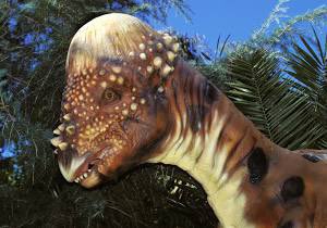 transApollokid's tweet photo. look at the Pachycephalosaurus 😁 https://t.co/1l2ebKXGfJ