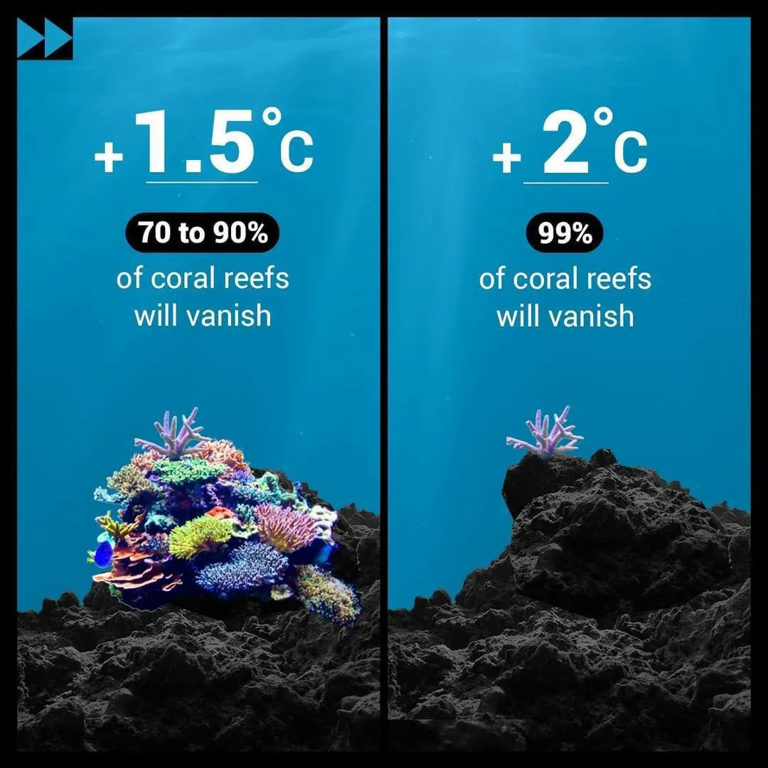 A startling info graphic from the <a href="/UN/">United Nations</a> - demonstrating the dire consequences of half a degree. Are you ready to say good bye to 30% of all marine life? 

There is no time to waste. #ActOnClimate 

#climate #energy #renewables #oceans