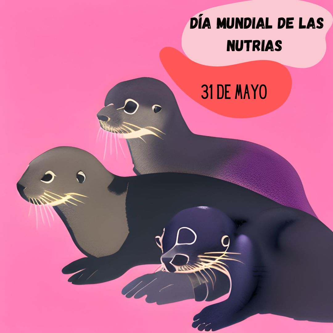 VeggieU's tweet photo. En el #DíaMundialDeLasNutrias es importante recordar que estas hermosas criaturas son esenciales para el equilibrio ecológico de nuestros ríos y lagos. Debemos proteger su hábitat natural y fomentar su conservación con el fin de mantener nuestra biodiversidad. Cuidemos juntos de https://t.co/NFkvVANb6B