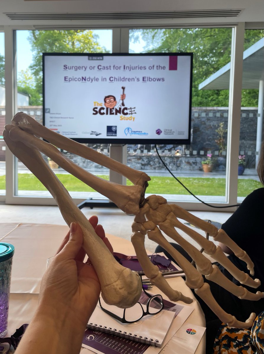 NICRNCoordCentr's tweet photo. Our Joint Winners for #bestpresentation
At the Annual NI #ClinicalReseachNetworkConf
GI Team for Delta/Cytosponge trial
and
Orthopaedic Team for @SCIENCEtrial https://t.co/BeiJdDFKvE