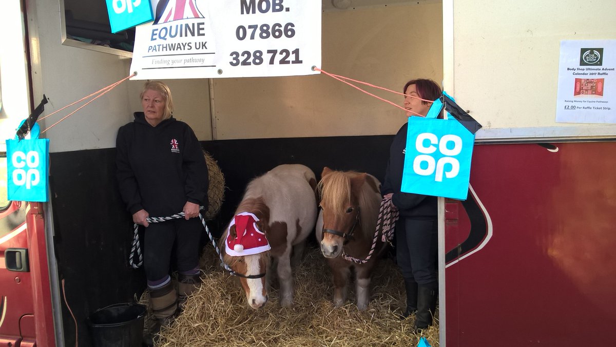equinepathwaysuk tweet media