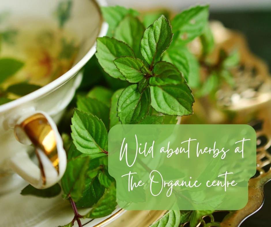 A couple of last minute places for Wild about Herbs with Margaret Palmer, Sat June 3rd.Bookings close tomorrow pm. Book online or ring 071 9854338 theorganiccentre.ie/event/wild-abo…
We offer generous subsidised rate for those on income supports. Ring shop for further details <a href="/nevenmaguire/">Neven Maguire</a>