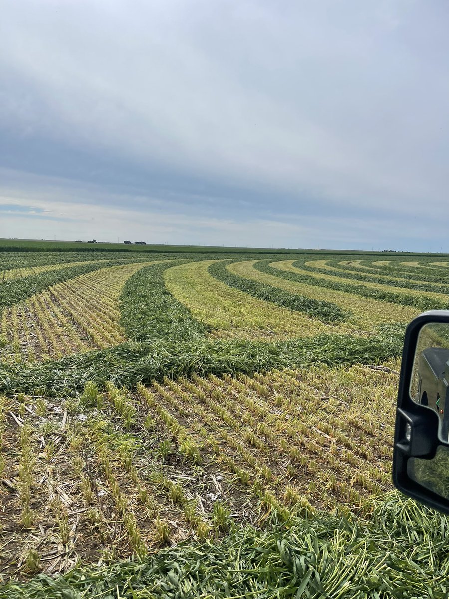 <a href="/swksfarmer/">Ks/Ok Farmer ©️🌽🐑🌾</a> <a href="/PrairieSeedsKs/">Prairie Seeds</a> Needed a rain last night so got some of them laid down.