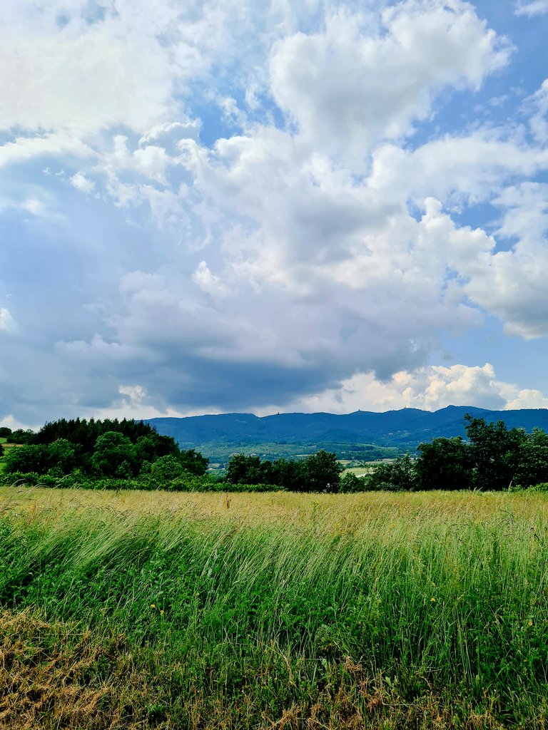 PPasqualinette's tweet photo. Choisir son temps
Arrêter de courir ~
Oser s'échapper
#BikeRiding
👁Just now
Route vers Maclas
#SharingWithYou https://t.co/ls0eRoEyhI