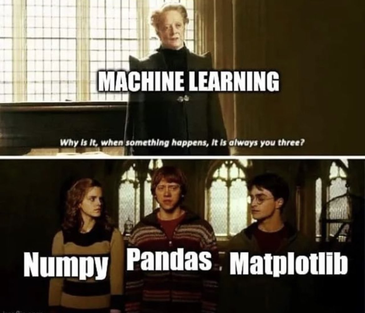 Data Science 🧬 Libraries 🤣🤣 The Trio 🚀🏆#datascience #pandas #numpy #matplotlib #harrypotter #harrypottermemes