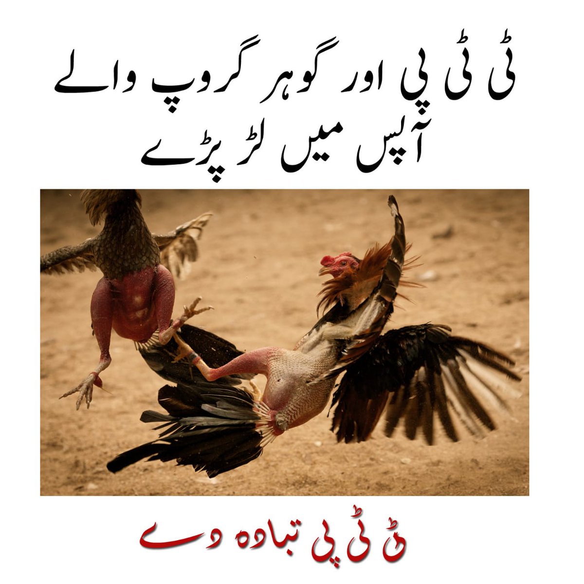 #ٹی_ٹی_پی_تباہ_دے
